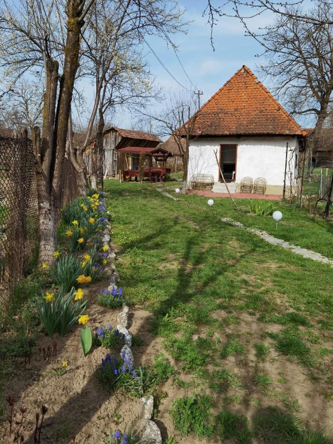 SóVárLak Sòvàrad Esterno foto
